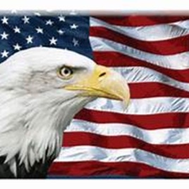 United Socialist States Republic