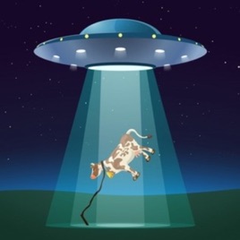 Universo bovino