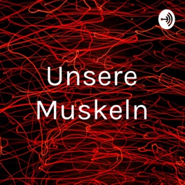 Unsere Muskeln