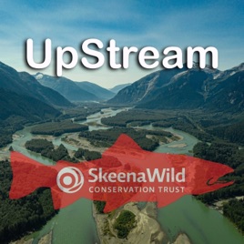 UpStream