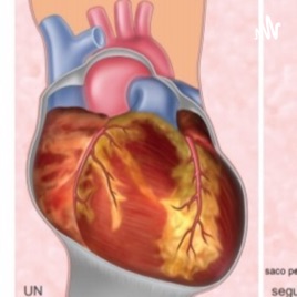 Urgencias Traumatologicas