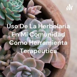 Uso De La Herbolaria En Mi Comunidad Como Herramienta Terapeutica
