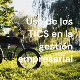 Uso de los TICS en la gestión empresarial