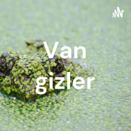Van gizler