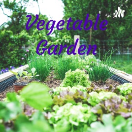 Vegetable Garden