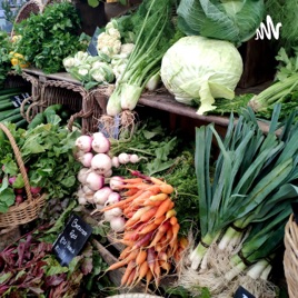 Vegetables In The Broadcast