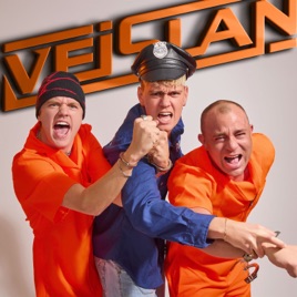 VEISLAN