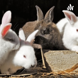 Velveteen Rabbits