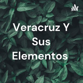 Veracruz Y Sus Elementos