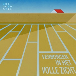 Verborgen in het volle zicht