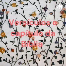 Versículos e capítulo da Bíblia
