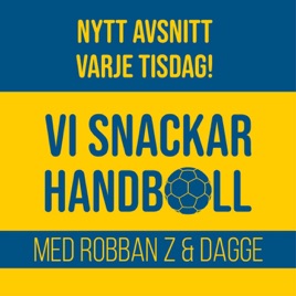 Vi snackar Handboll
