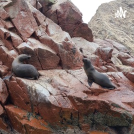 Viajando Por Perú