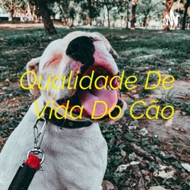 Qualidade De Vida Do Cão