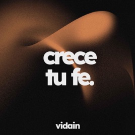 vidain - CDMX