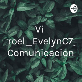 Villarroel_EvelynC7_la Comunicacion