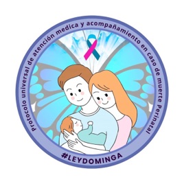 ViolenciaObstétrica Y La Muerte Perinatal Y Las Falencias Del Sistema De Salud Público