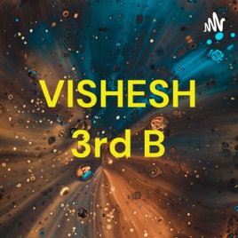 VISHESH 3rd B
