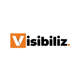 Visibiliz by Les Experts du Web