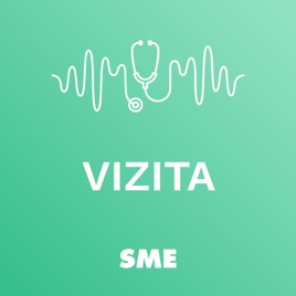 Vizita