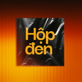 VnExpress Podcasts: Hộp đen