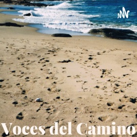 Voces del Camino