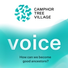 voice