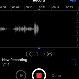 Voice Notes Of Mahlik