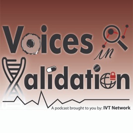 Voices In Validation