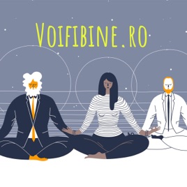 Voifibine.ro
