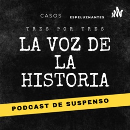Voz de la historia
