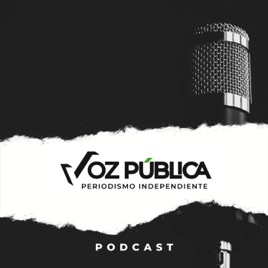 Voz Pública: Voces desde la Realidad