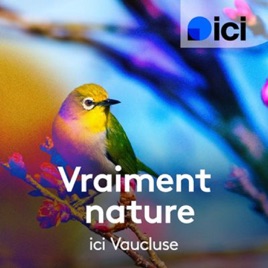 Vraiment nature, ici Vaucluse