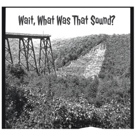 Wait What Was That Sound?
