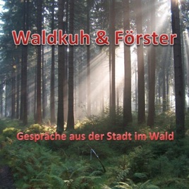 Waldkuh und Förster
