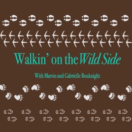 Walkin' on the Wild Side