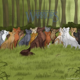 Warrior cats