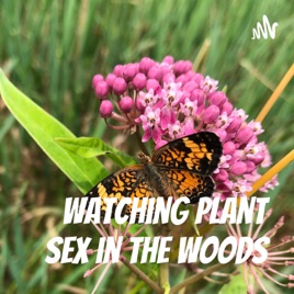 Watching Plant Sex in the Woods