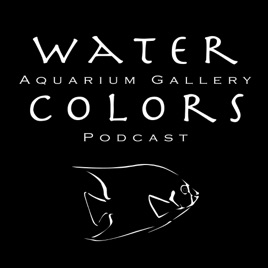 Water Colors Aquarium Gallery