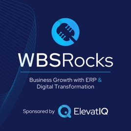 WBSRocks: Scaling Growth with AI, Enterprise Software, and Digital Transformation