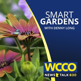 WCCO's Smart Gardens