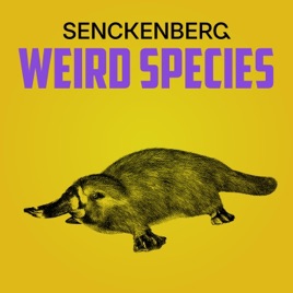 Weird Species