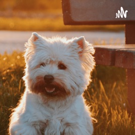 West Highland White Terrier.