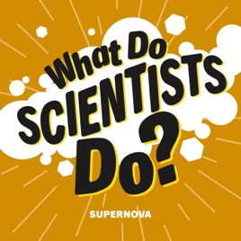 What Do Scientists Do?
