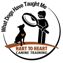 What Dogs Have Taught Me