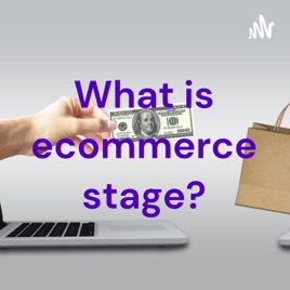 What is ecommerce stage?