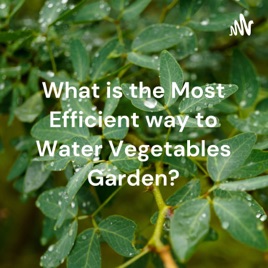 What is the Most Efficient way to Water Vegetables Garden?