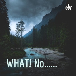WHAT! No......