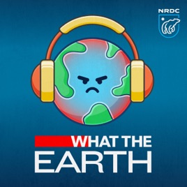 What the Earth