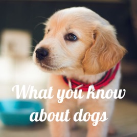What you know about dogs